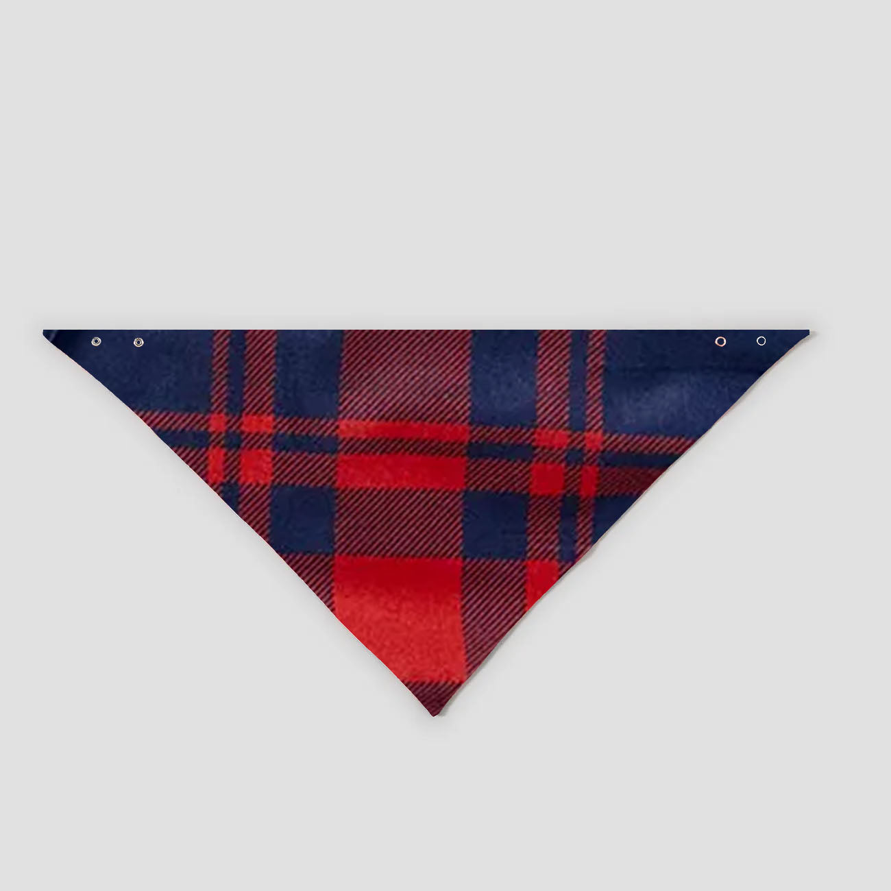 "2025 Christmas" Text and Santa Hat Prints Blue Long Sleeves Top with Red and Blue Plaid Pants Christmas Matching Pajamas