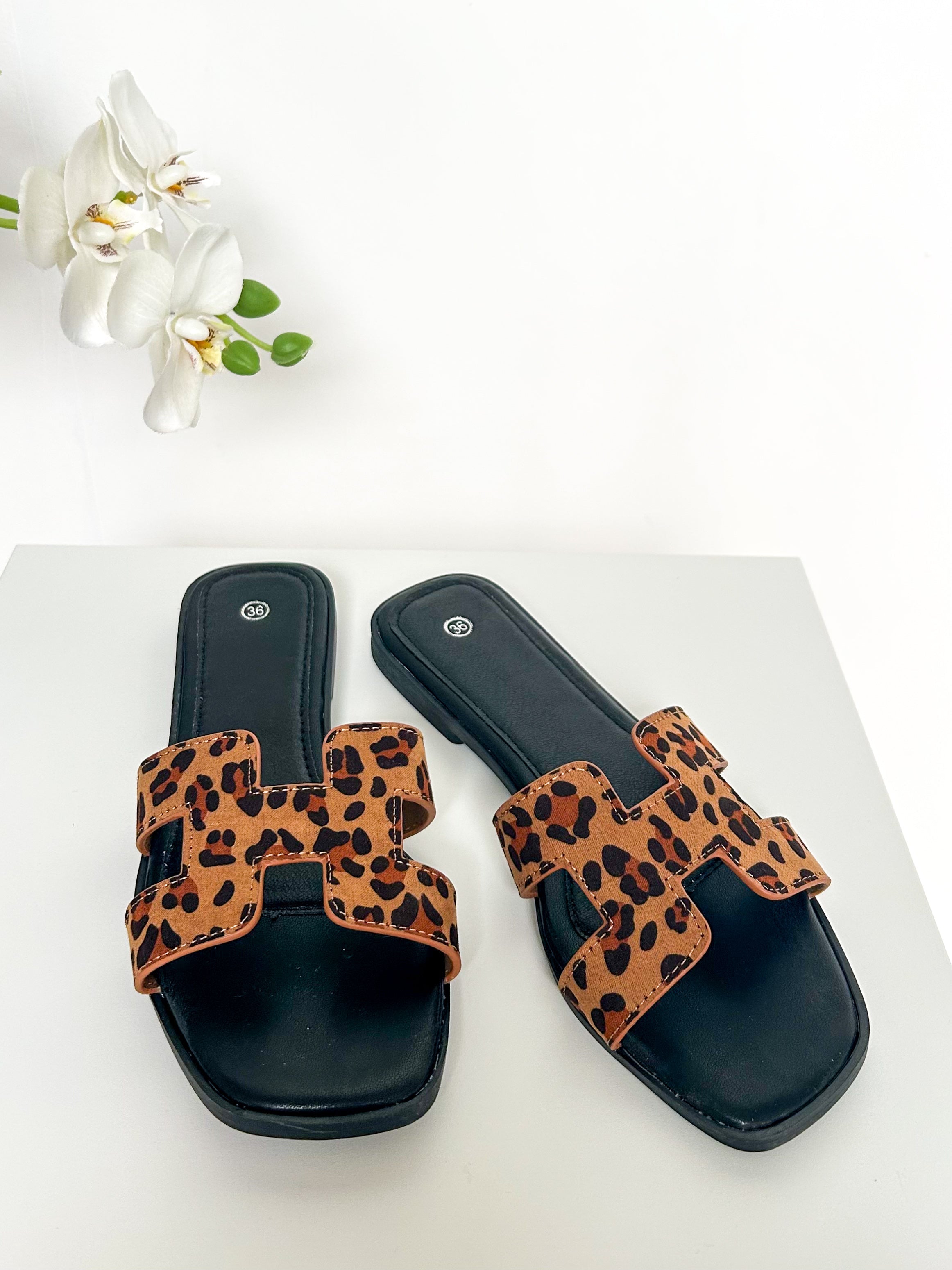 Nicolas Sliders (22 Colours)