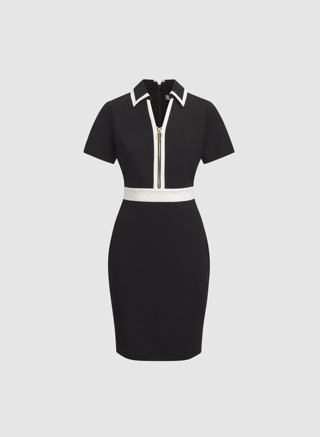 Fitted Contrast Dress