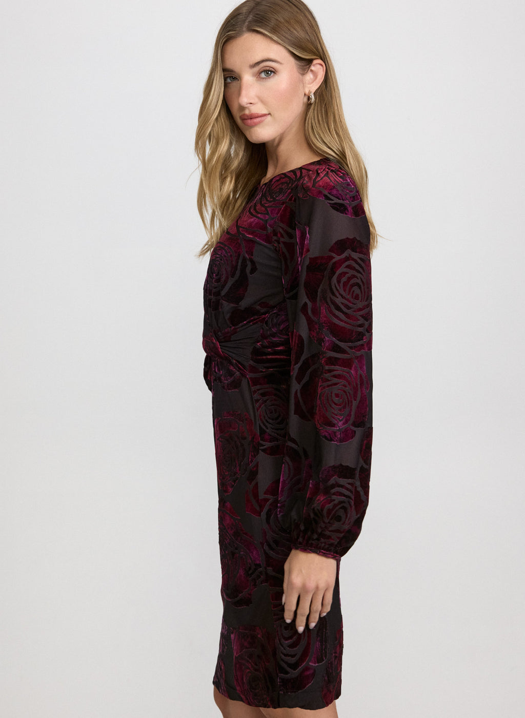 Rose Velvet Dress