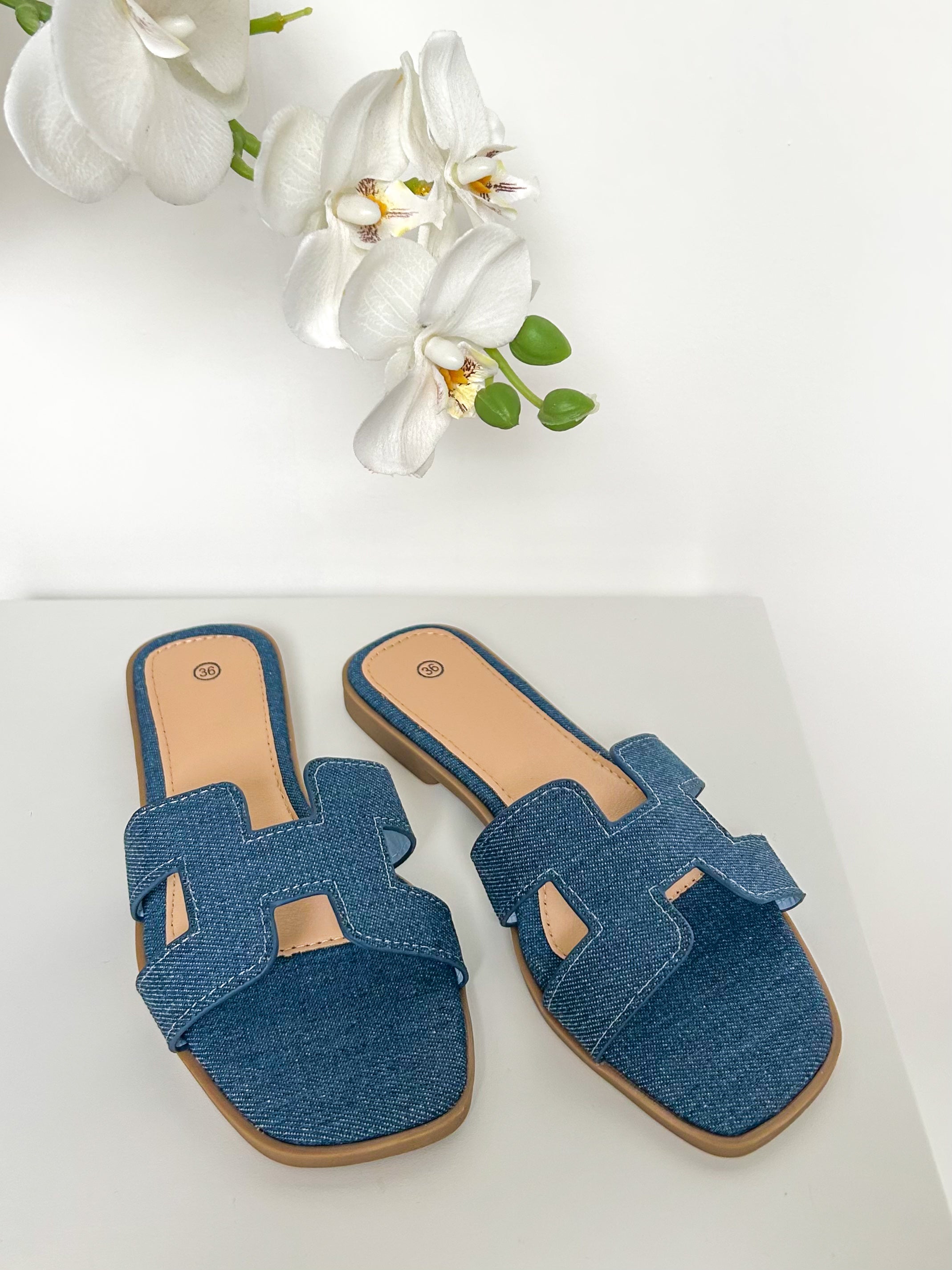 Nicolas Sliders (22 Colours)