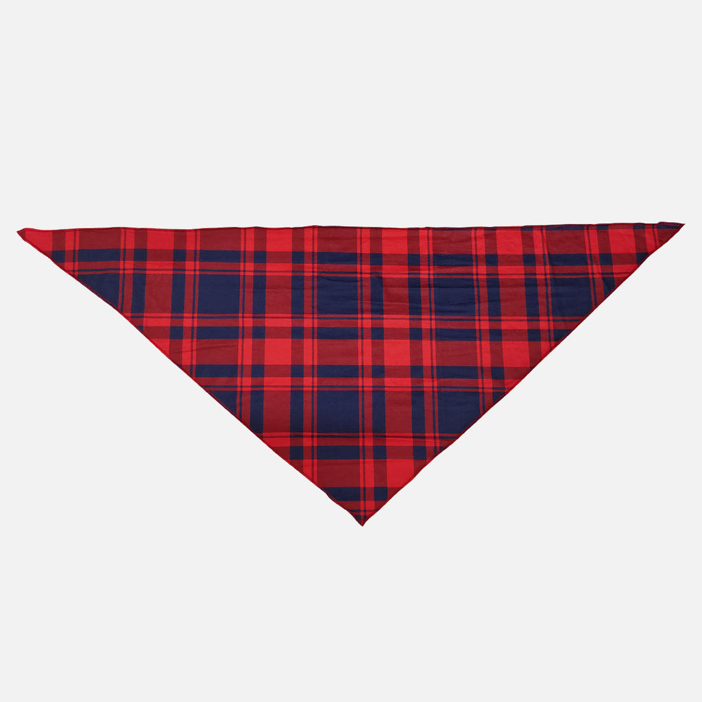 "Family Christmas 2025" Letter Printed Red and Blue Plaid Christmas Matching Pajamas