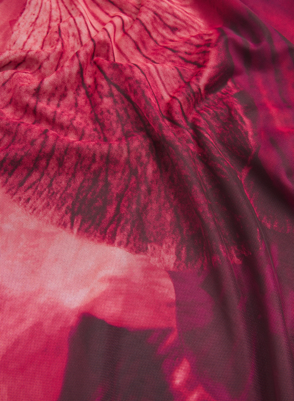 Floral Ombre Dress