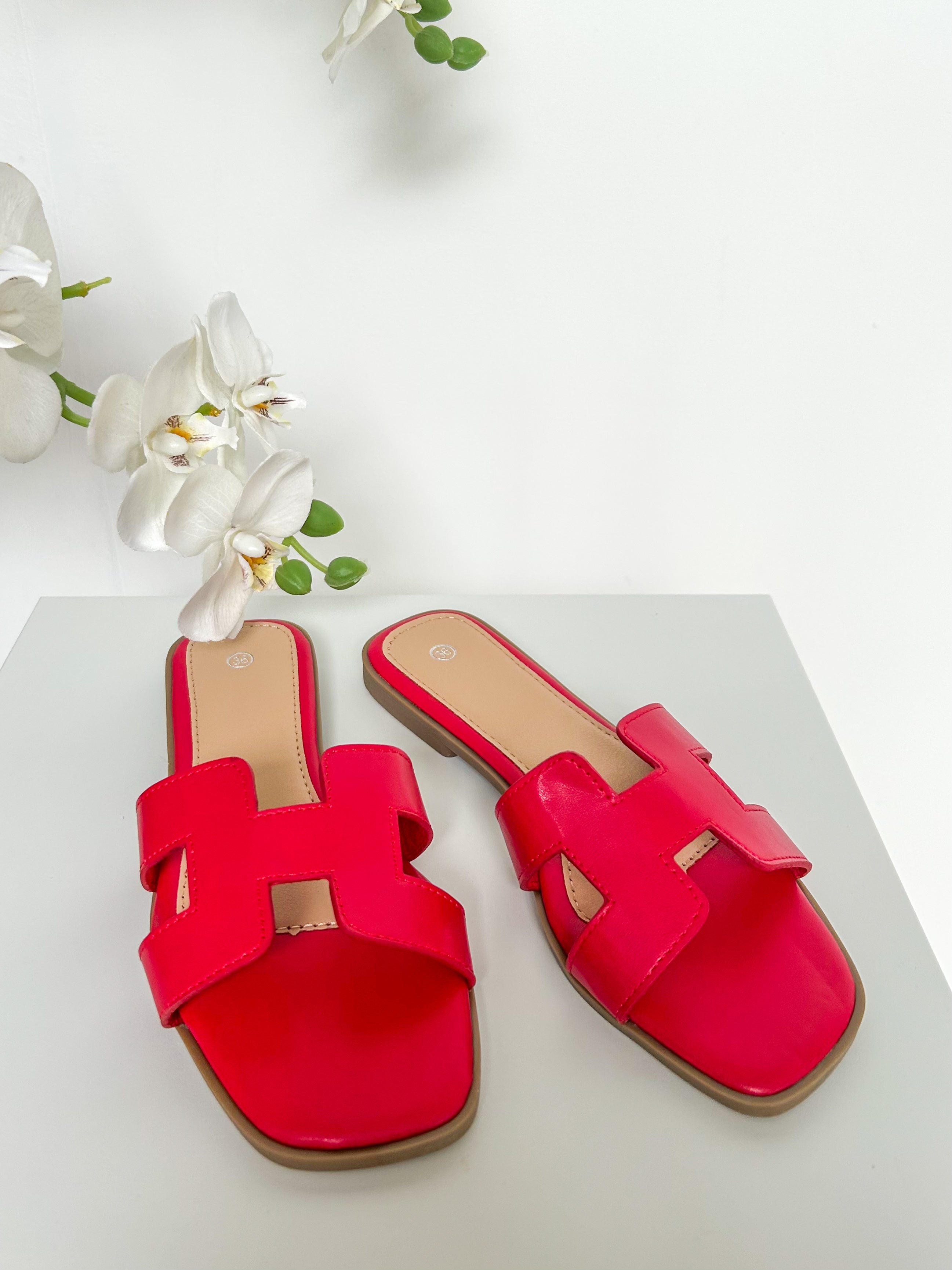 Nicolas Sliders (22 Colours)