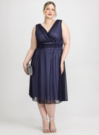 Mesh Fit and Flare Dress
