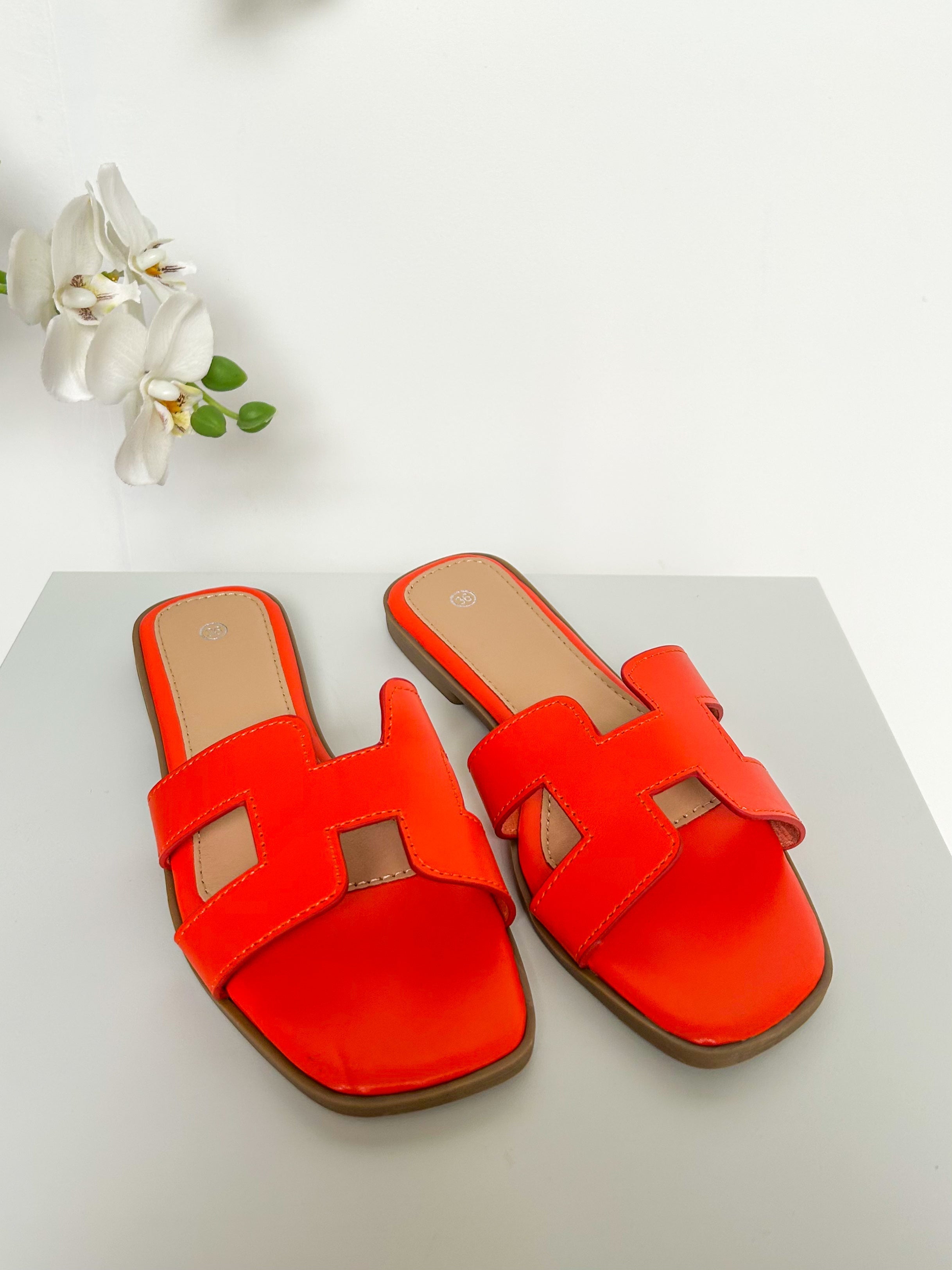 Nicolas Sliders (22 Colours)