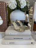 Gold Clear Heels