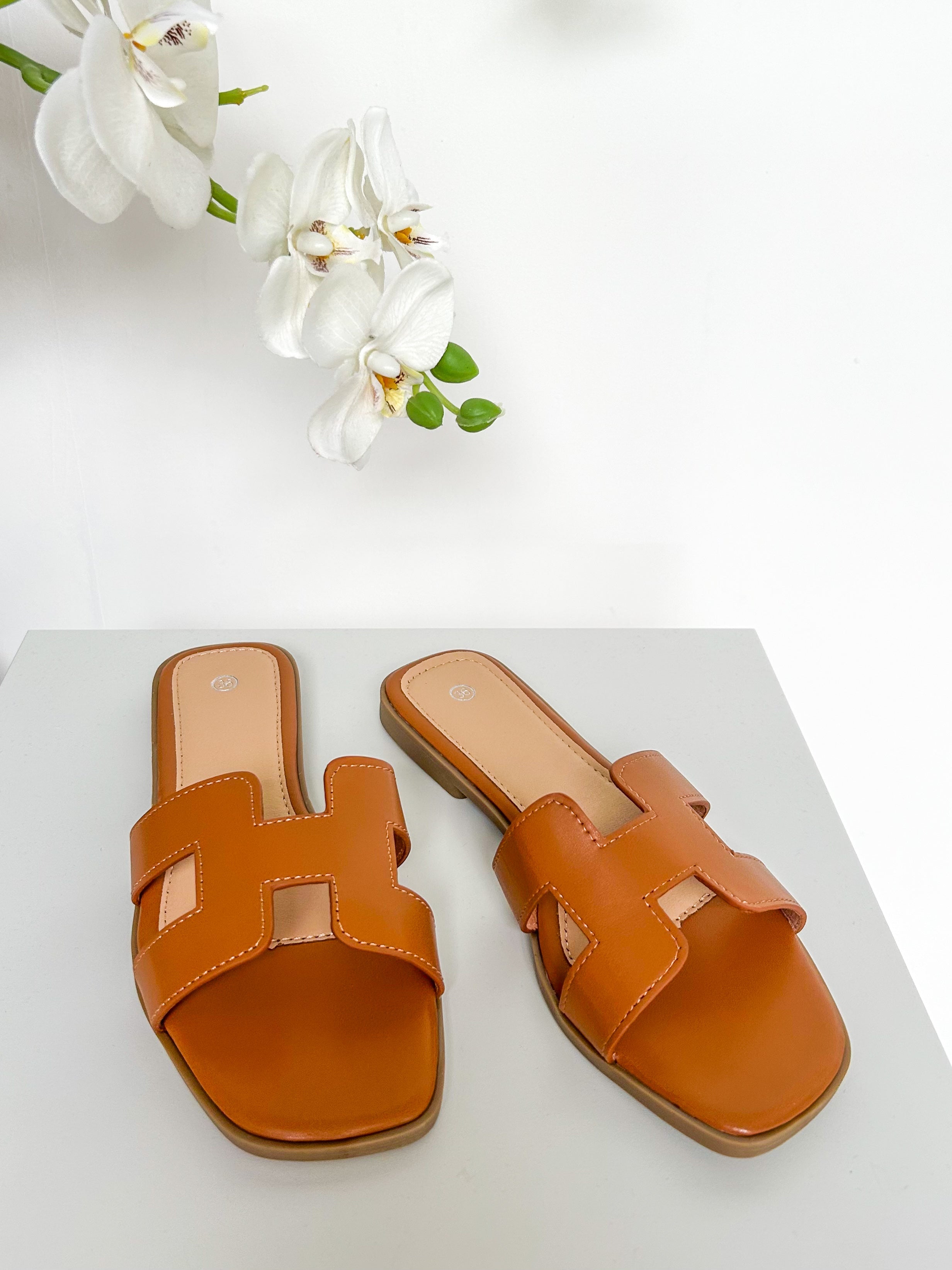 Nicolas Sliders (22 Colours)