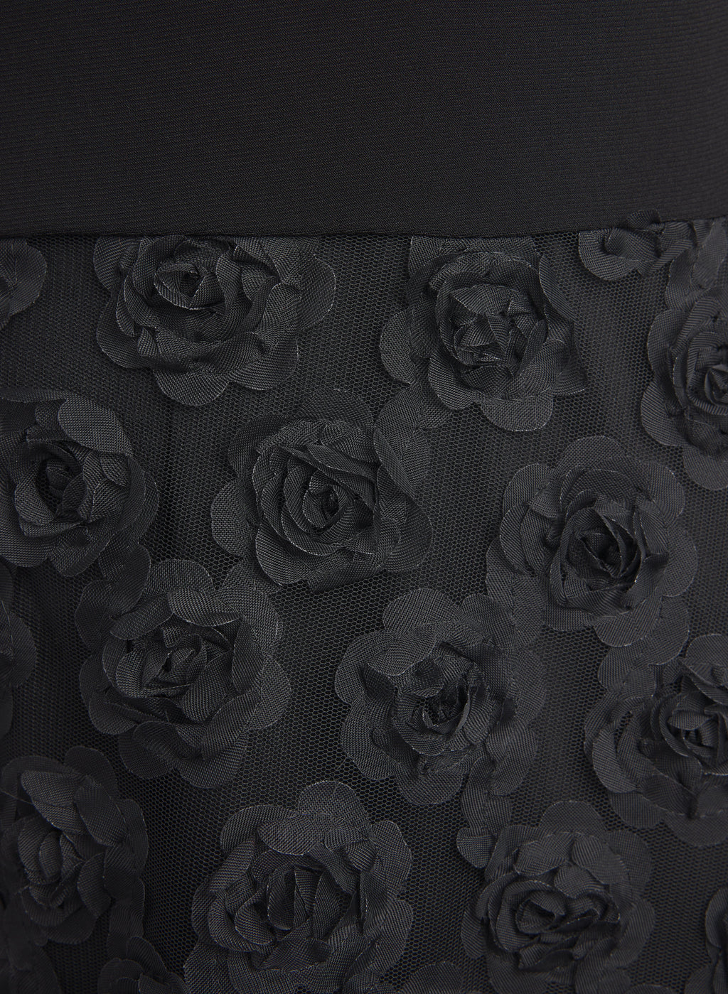 Rose Embroidered Dress
