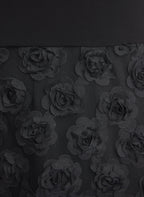 Rose Embroidered Dress