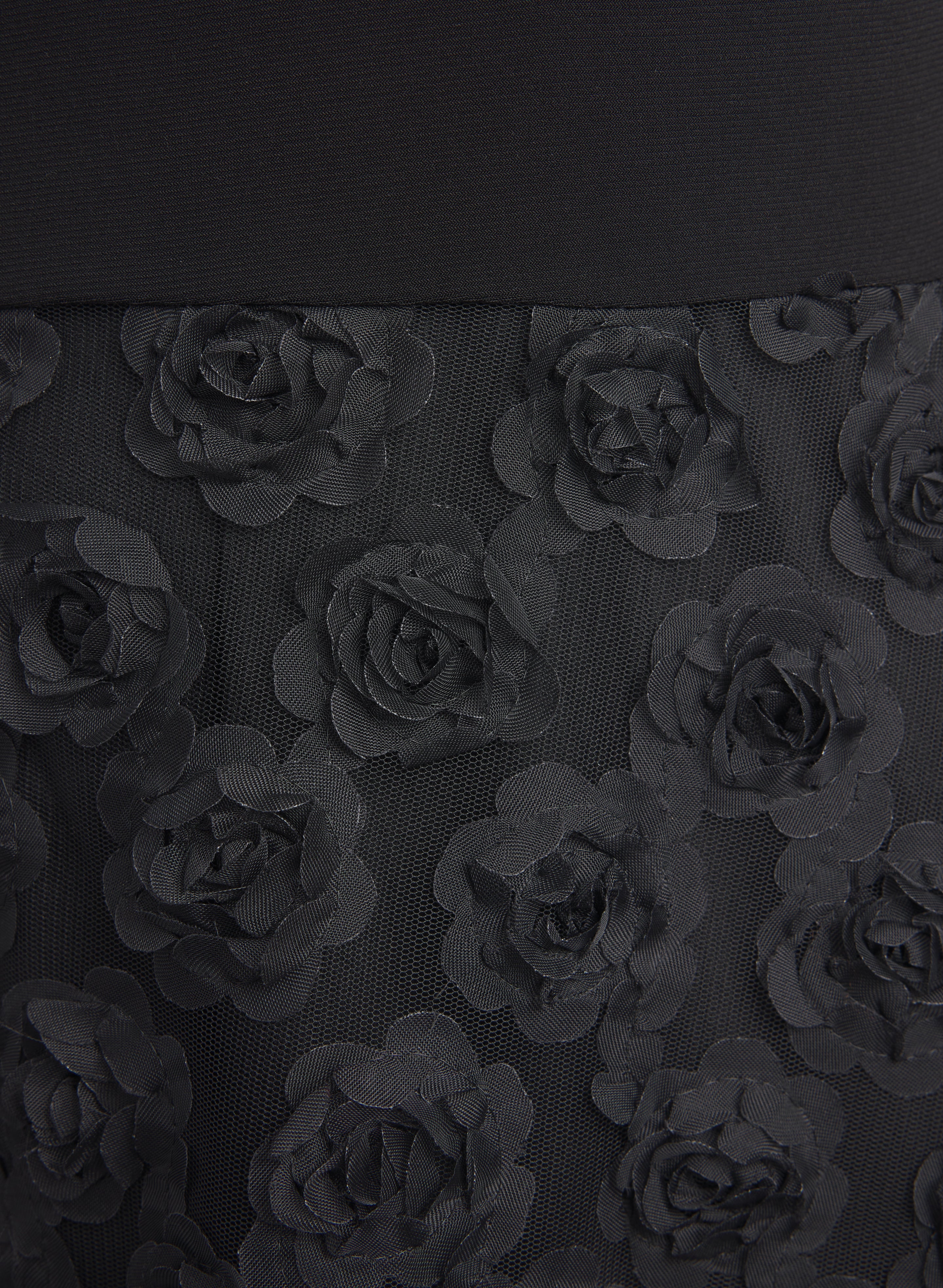 Rose Embroidered Dress